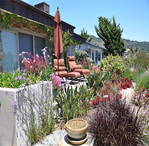 Central Coast Beach Garden