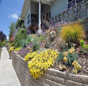 Raised Planters