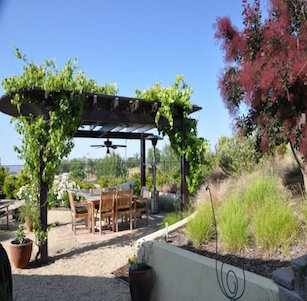 Trellis and Wall Garden